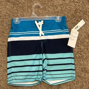 Blue and white striped Swim shorts